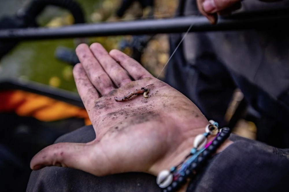 Browning Sphere Match Hooks To Nylon 100cm Witvis Onderlijn 0,14mm Size 12 (8 Stuks) 3 Browning Sphere Match Hooks To Nylon 100cm Witvis Onderlijn 0,14mm Size 12 (8 Stuks)