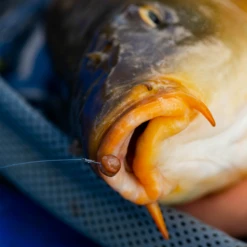 Fjuka Natural 2in1 200gram -Aanbiedingen Hengel Xpert Winkel 173e3a2163a6a35f