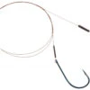 Dragon Live/deadbait Leader Mustad Single-hook Nr 2/0 Surfstrand 7kg 25cm -Aanbiedingen Hengel Xpert Winkel 19688b51f058b09a