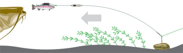 Madcat Adjusta Profi River Rig "Deadbait" / L 3 Madcat Adjusta Profi River Rig "Deadbait" / L