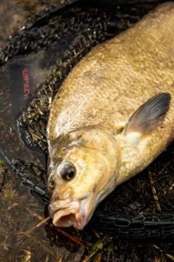 Ultimate Pannet 50x40cm 10 Ultimate Pannet 50x40cm -Aanbiedingen Hengel Xpert Winkel 4591855e56a4c716