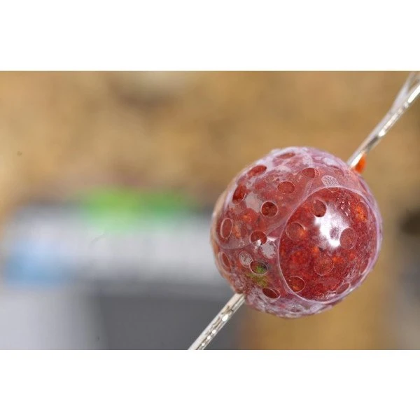 Korda Super Wrap Small (12mm) 5 Korda Super Wrap Small (12mm) - Afbeelding 3