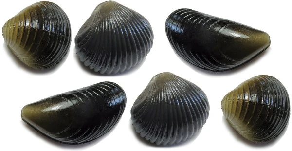 Behr Trendex Mini Carp Shells, 6 Stuks! 3 Behr Trendex Mini Carp Shells, 6 Stuks!