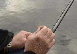 Cresta Spaghetti Balls Blood Red -Aanbiedingen Hengel Xpert Winkel 7a9eca116683f06b