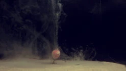 Martin SB Super Smog Liquid Strawberry Fish 3.0 (250ml)