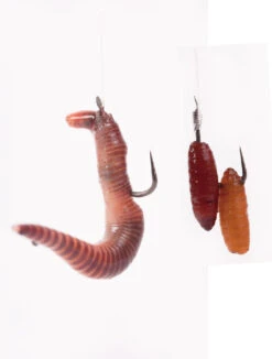 Korum CS Series Barbless Hooks To Nylon Worm/Caster Hook 14 -Aanbiedingen Hengel Xpert Winkel 9e2b92be230e6408