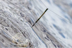 Guru Feeder Link Medium 2.5" 8 Guru Feeder Link Medium 2.5" -Aanbiedingen Hengel Xpert Winkel b7217a7c16bec83c