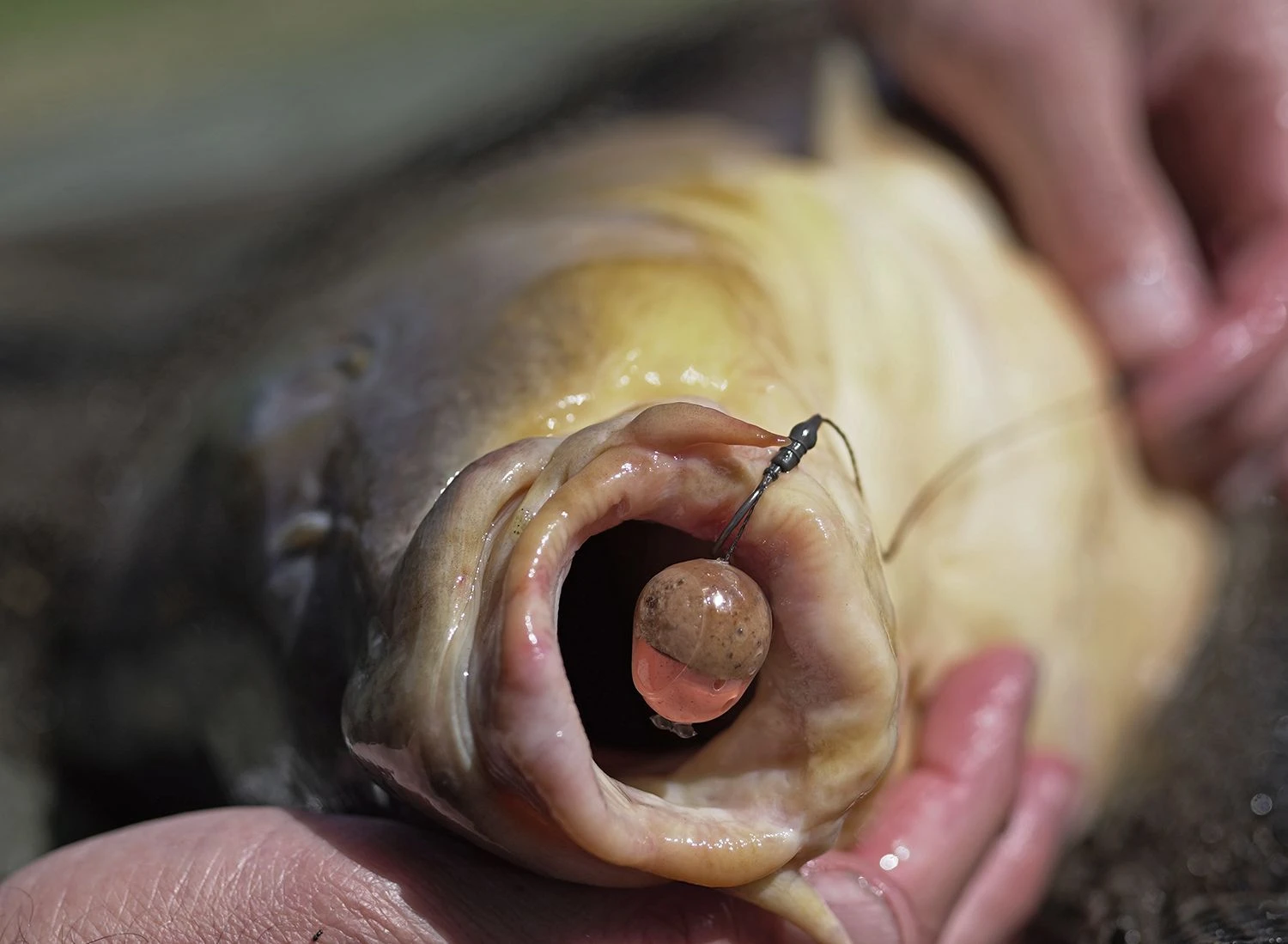 Pole Position Kicker S Tungsten 3 Pole Position Kicker S Tungsten