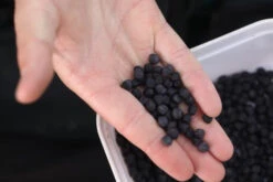 Fjuka 2in1 10mm Black -Aanbiedingen Hengel Xpert Winkel f97c9debf3824049